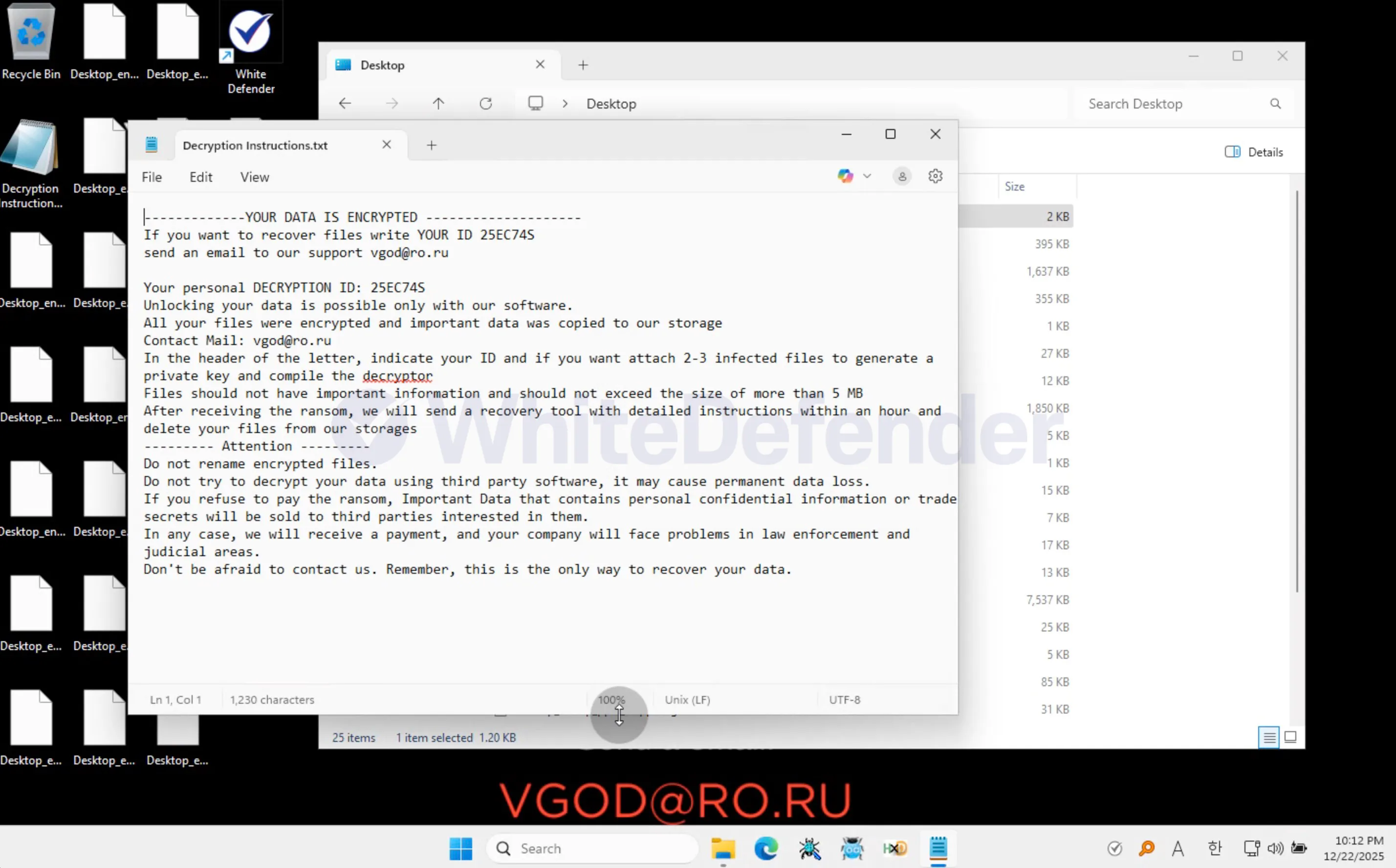 ファイルの復号手順と攻撃者の電子メールアドレスvgod@ro.ruが記載されたDecryption Instructions.txtのテキスト内容