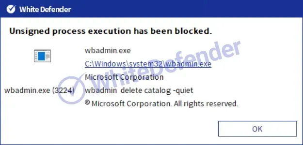セキュリティ製品によるプロセス遮断通知ポップアップ。別の角度から『MadCat.exe』の悪意のある活動がブロックされたことを示す。