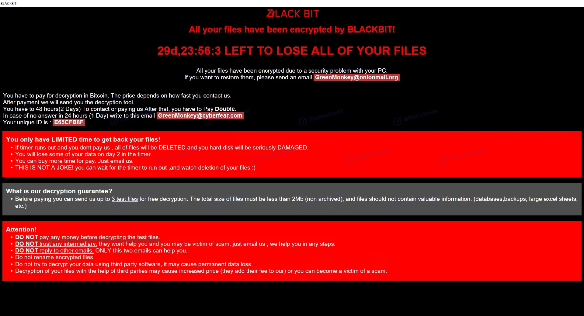 ランサムウェア「BlackBit」に関する技術分析レポート