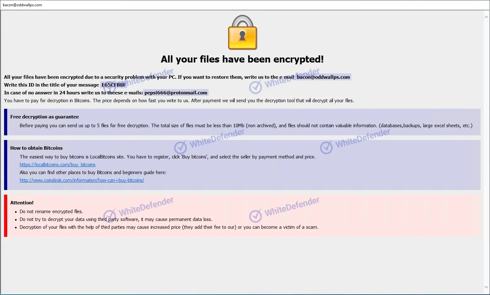 Javaランサムウェアの挙動に関する技術分析レポート