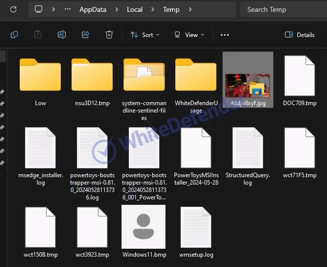 FridayBoycrazy ランサムウェアに関する技術分析レポート